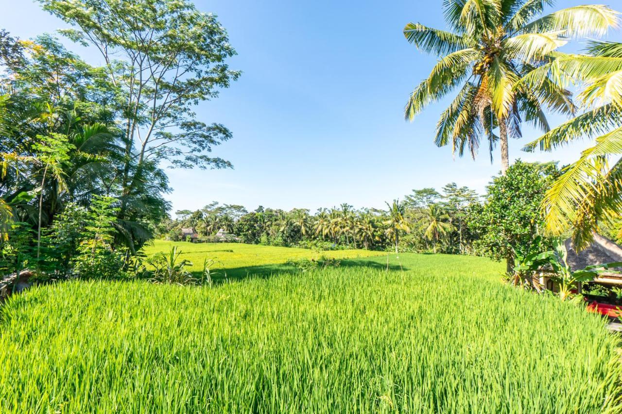 Rouge - Private Villa Passion Ubud Dış mekan fotoğraf